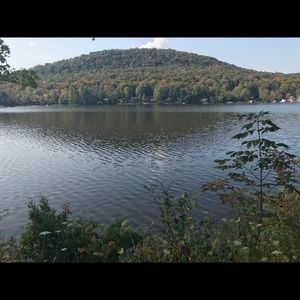 Meet your Posher, Tara